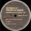 Somatic Responses - Researching Limits EP