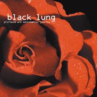 Black Lung - Profound And Sentimental Journey