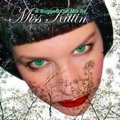 Miss Kittin - A Bugged Out Mix
