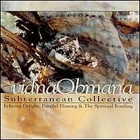 Vidna Obmana - Subterranean Collective