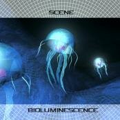 Scene - Bioluminescence