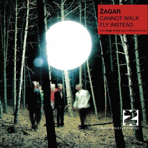 Zagar - Cannot Walk Fly Instead